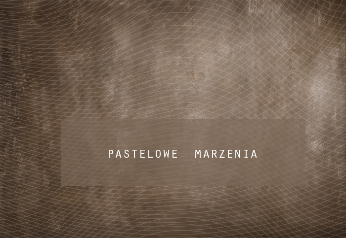 Fabric photographic background from the Walls category, Crop 290x200 cm