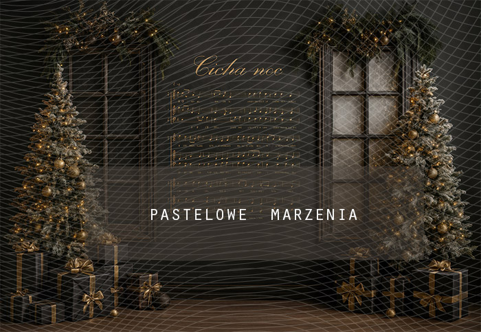 Fabric photographic background from the Christmas category, Crop 290x200 cm