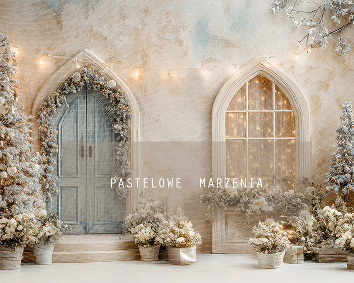 Tło fotograficzne materiałowe z kategorii Boże Narodzenie, Kadr 250x200 cm
