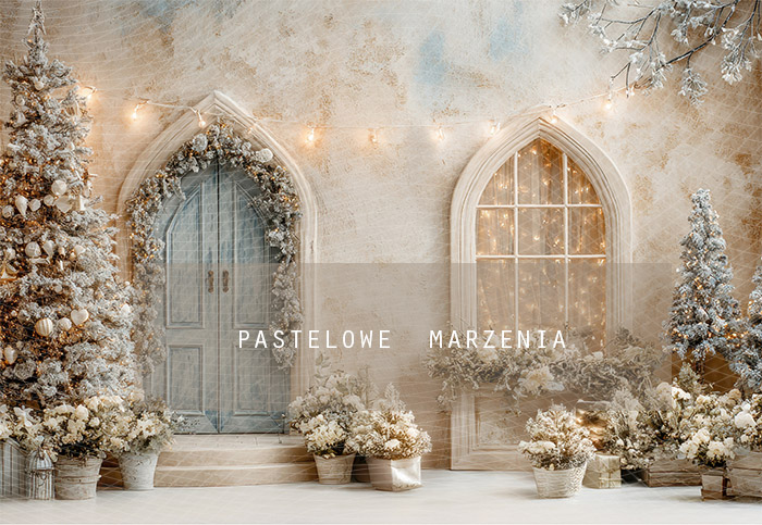 Tło fotograficzne materiałowe z kategorii Boże Narodzenie, Kadr 290x200 cm