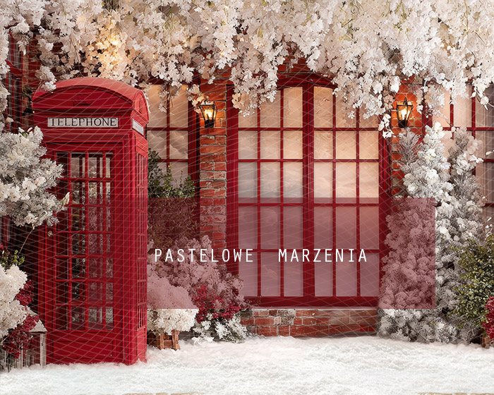 Fabric photographic background from the Christmas category, Crop 250x200 cm