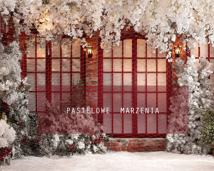 Fabric photographic background from the Christmas category, Crop 250x200 cm