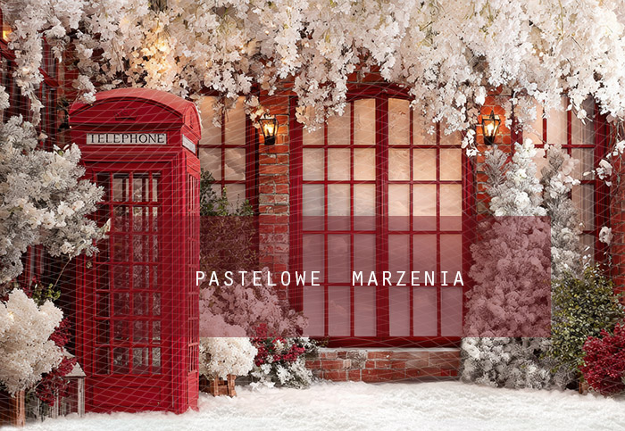 Fabric photographic background from the Christmas category, Crop 290x200 cm