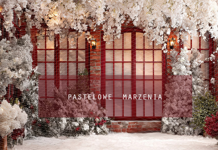 Fabric photographic background from the Christmas category, Crop 290x200 cm