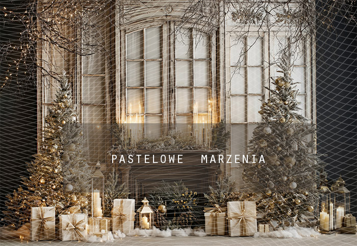 Fabric photographic background from the Christmas category, Crop 290x200 cm