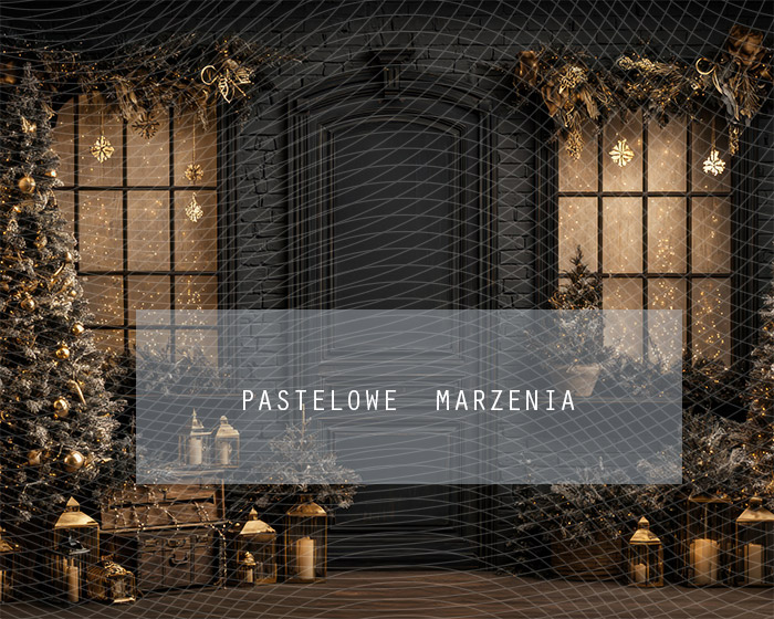 Fabric photographic background from the Christmas category, Crop 250x200 cm