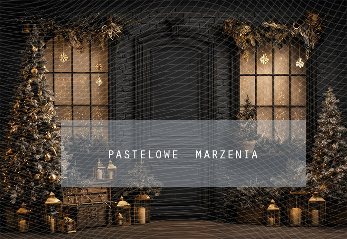 Fabric photographic background from the Christmas category, Crop 290x200 cm