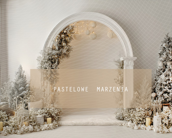 Tło fotograficzne materiałowe z kategorii Boże Narodzenie, Kadr 250x200 cm