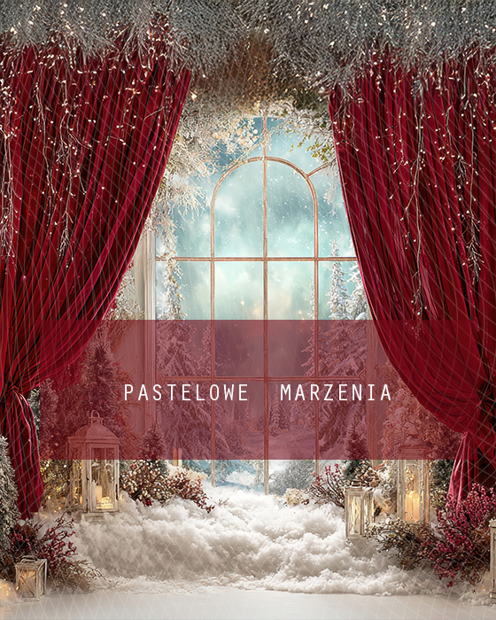 Fabric photographic background from the Christmas category, Crop 200x250 cm