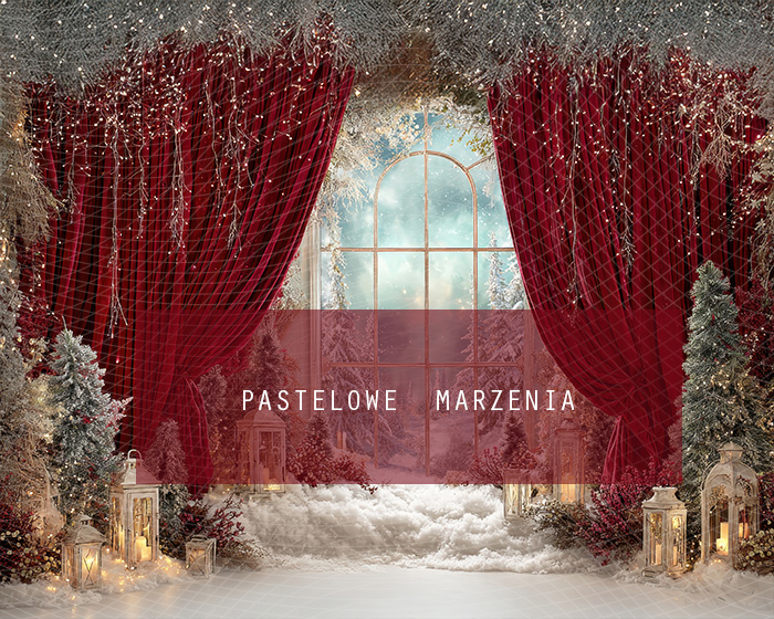 Fabric photographic background from the Christmas category, Crop 250x200 cm