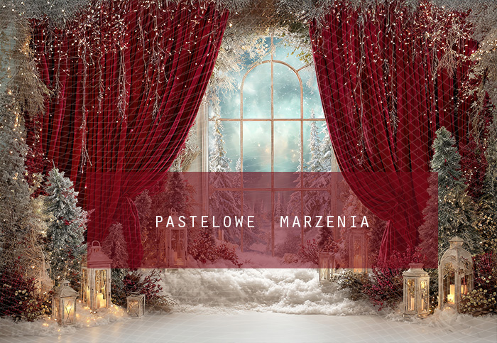 Fabric photographic background from the Christmas category, Crop 290x200 cm
