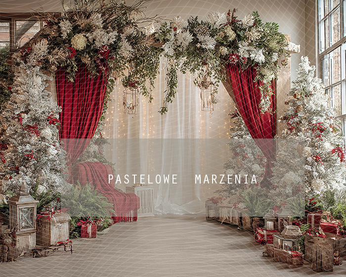 Tło fotograficzne materiałowe z kategorii Boże Narodzenie, Kadr 250x200 cm