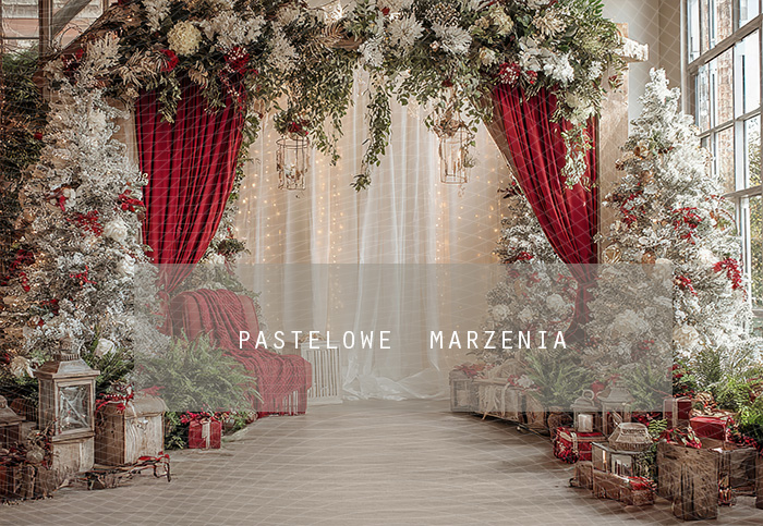 Tło fotograficzne materiałowe z kategorii Boże Narodzenie, Kadr 290x200 cm