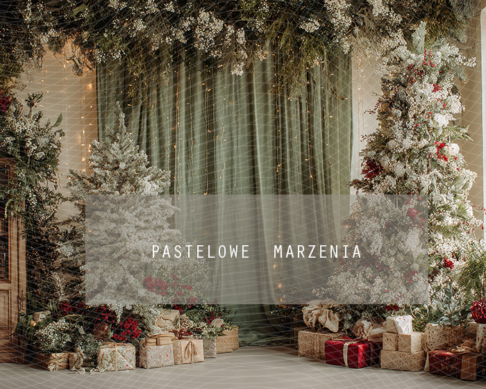 Tło fotograficzne materiałowe z kategorii Boże Narodzenie, Kadr 250x200 cm