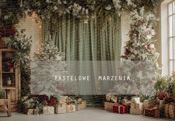 Tło fotograficzne materiałowe z kategorii Boże Narodzenie, Kadr 290x200 cm