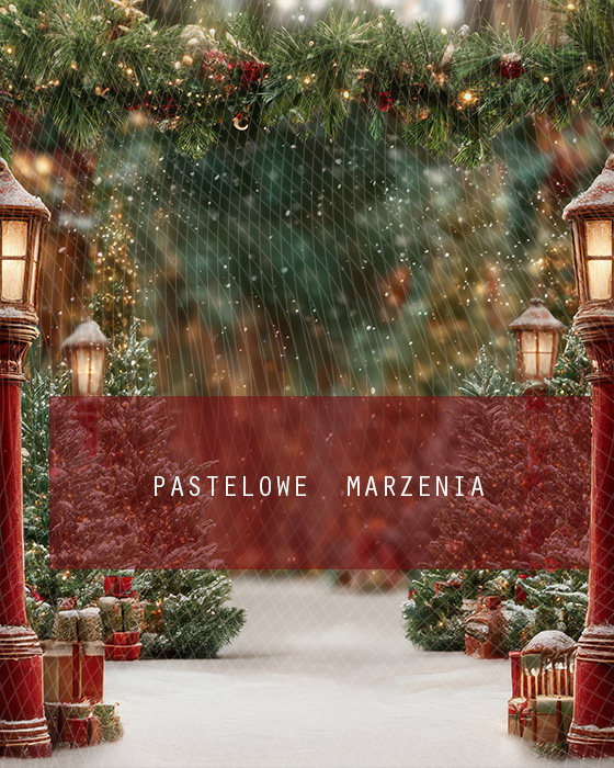 Fabric photographic background from the Christmas category, Crop 200x250 cm