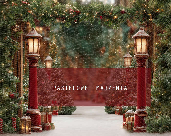 Fabric photographic background from the Christmas category, Crop 250x200 cm