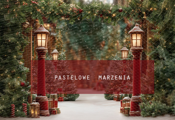 Fabric photographic background from the Christmas category, Crop 290x200 cm