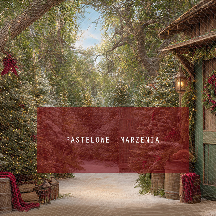 Fabric photographic background from the Christmas category, Crop 250x250 cm