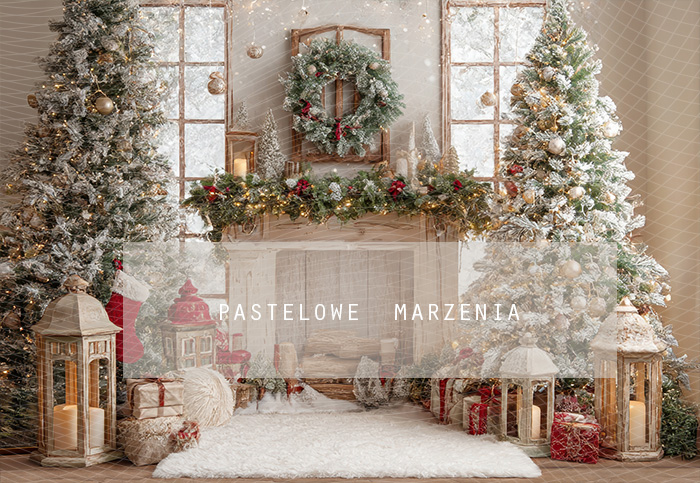 Fabric photographic background from the Christmas category, Crop 290x200 cm