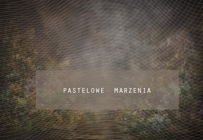 Tło fotograficzne materiałowe z kategorii Ściany, Kadr 290x200 cm