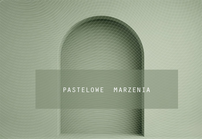 Tło fotograficzne materiałowe z kategorii Ściany, Kadr 290x200 cm