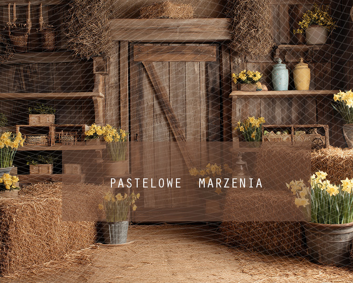 Tło fotograficzne materiałowe z kategorii Wiosna, Kadr 250x200 cm