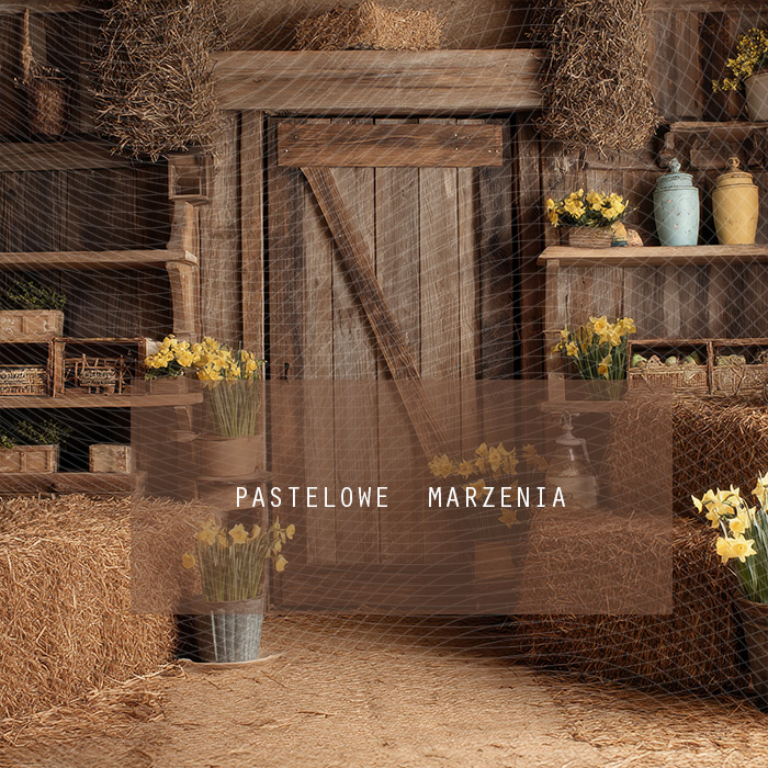 Tło fotograficzne materiałowe z kategorii Wiosna, Kadr 250x250 cm