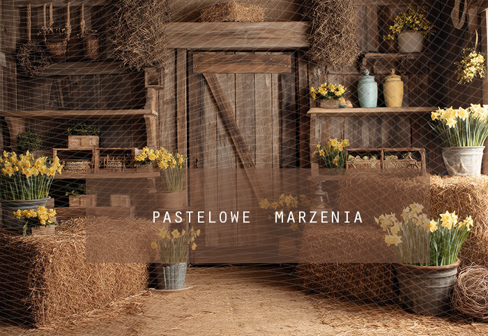 Tło fotograficzne materiałowe z kategorii Wiosna, Kadr 290x200 cm