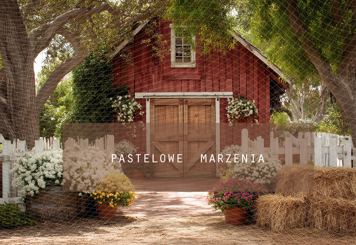 Tło fotograficzne materiałowe z kategorii Wiosna, Kadr 290x200 cm