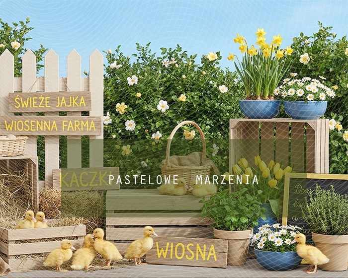 Tło fotograficzne materiałowe z kategorii Wiosna, Kadr 250x200 cm