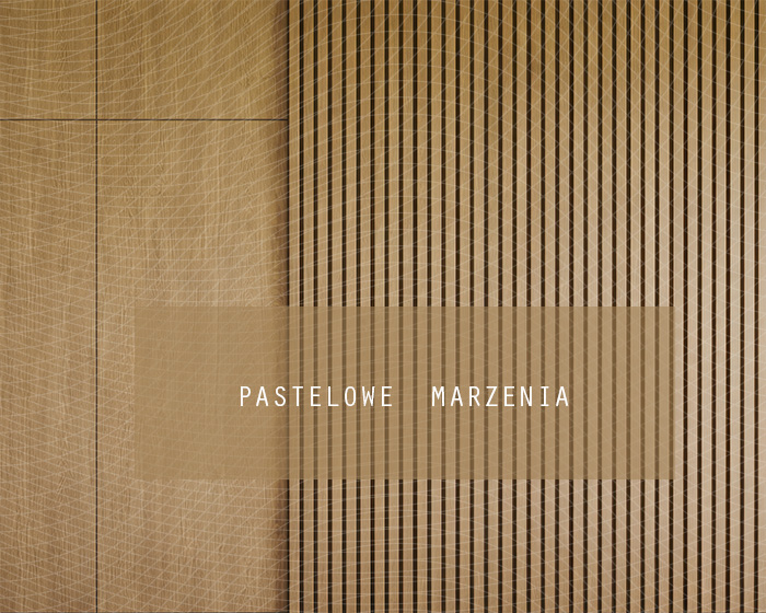 Tło fotograficzne materiałowe z kategorii Ściany, Kadr 250x200 cm