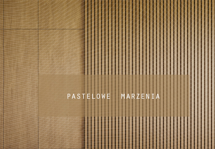Tło fotograficzne materiałowe z kategorii Ściany, Kadr 290x200 cm