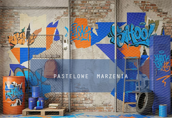 Fabric photographic background from the school category Frame 290x200 cm
