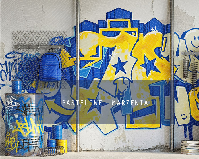 Fabric photographic background from the school category Frame 250x200 cm
