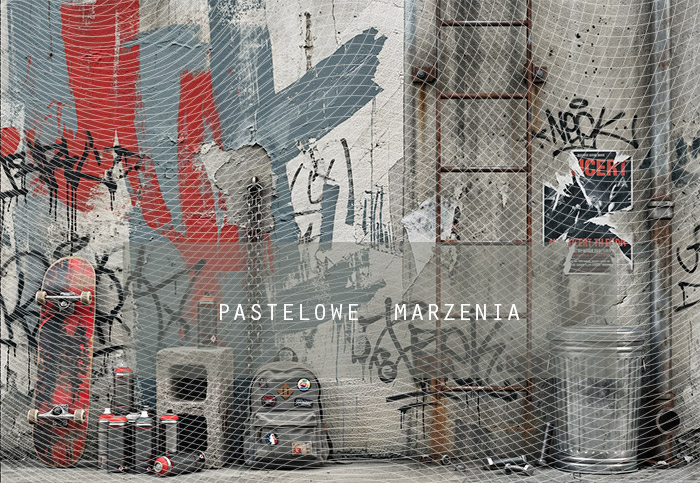 Fabric photographic background from the school category Frame 290x200 cm