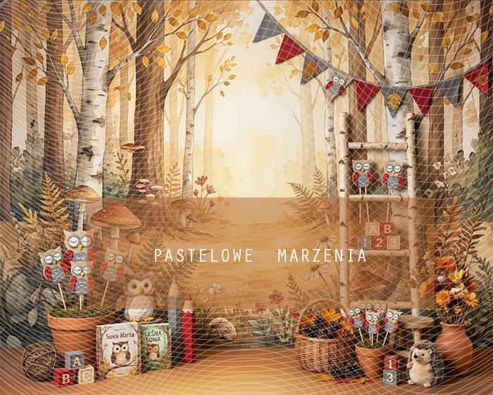 Tło fotograficzne materiałowe z kategorii Do Przedszkola, Kadr 250x200 cm