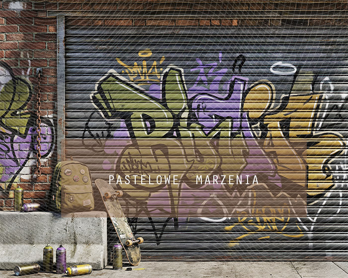 Fabric photographic background from the school category Frame 250x200 cm