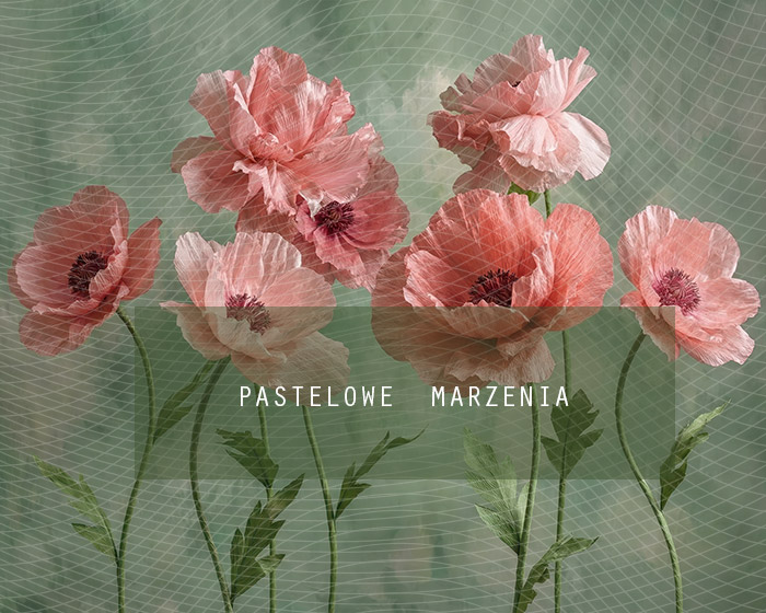 Tło fotograficzne materiałowe z kategorii Ściany, Kadr 250x200 cm