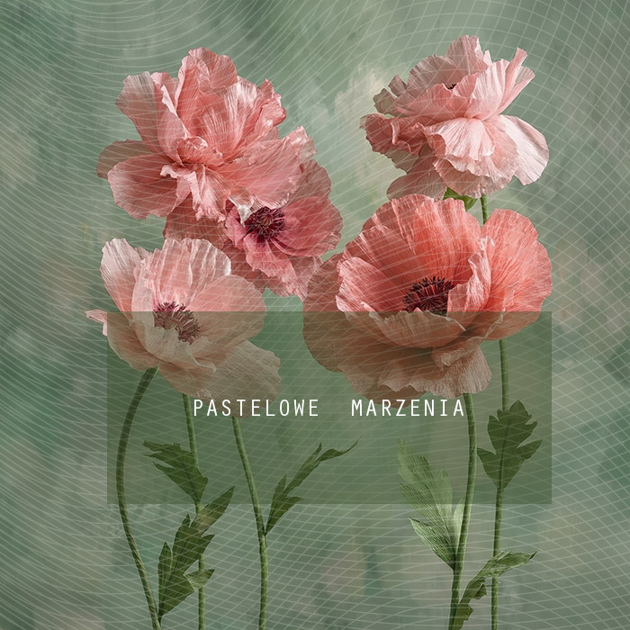 Tło fotograficzne materiałowe z kategorii Ściany, Kadr 250x250 cm