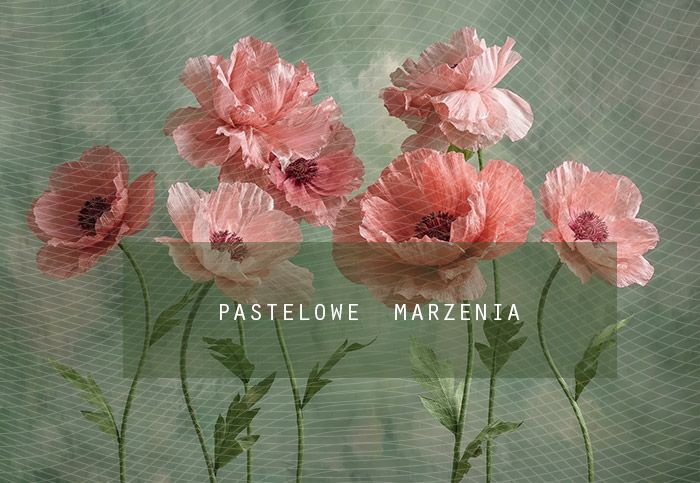 Tło fotograficzne materiałowe z kategorii Ściany, Kadr 290x200 cm