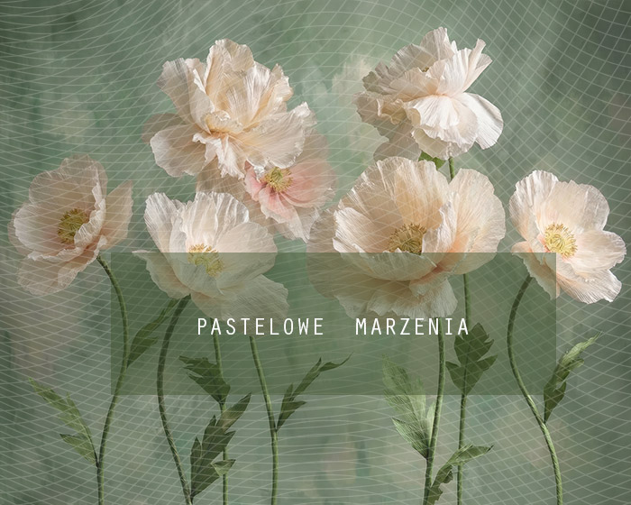 Tło fotograficzne materiałowe z kategorii Ściany, Kadr 250x200 cm