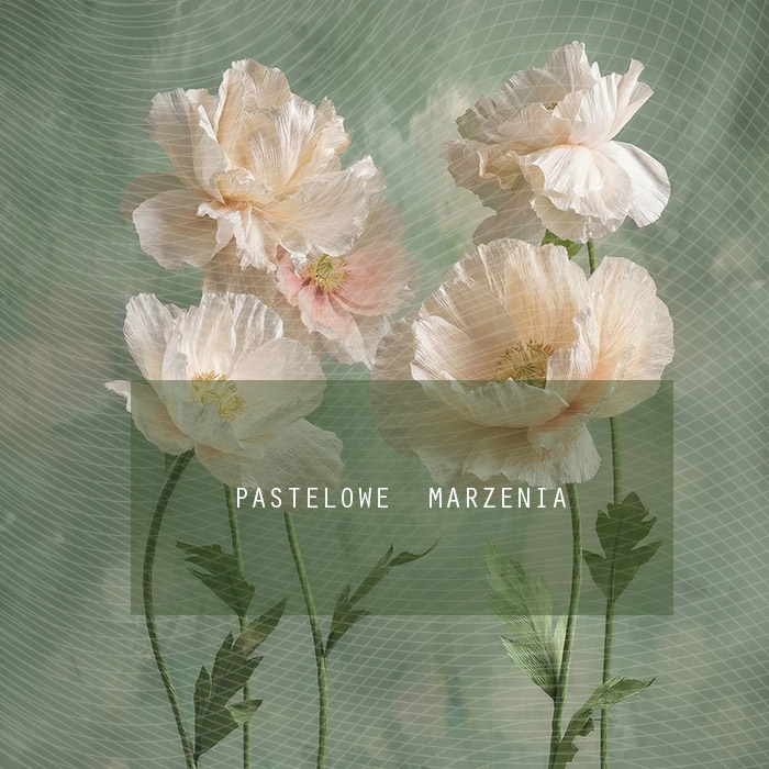 Tło fotograficzne materiałowe z kategorii Ściany, Kadr 250x250 cm