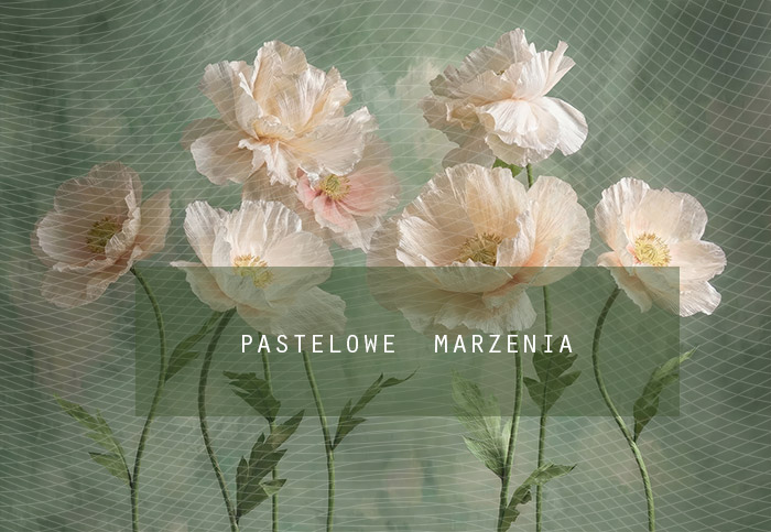 Tło fotograficzne materiałowe z kategorii Ściany, Kadr 290x200 cm