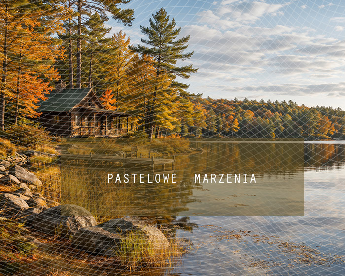 Fabric photographic background from the Autumn category, Frame 250x200 cm