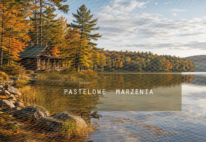 Fabric photographic background from the Autumn category, Frame 290x200 cm