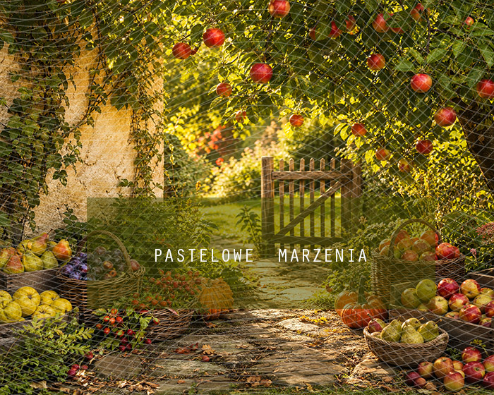 Fabric photographic background from the Autumn category, Frame 250x200 cm