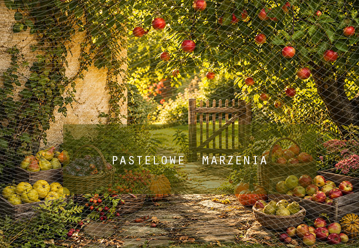 Fabric photographic background from the Autumn category, Frame 290x200 cm
