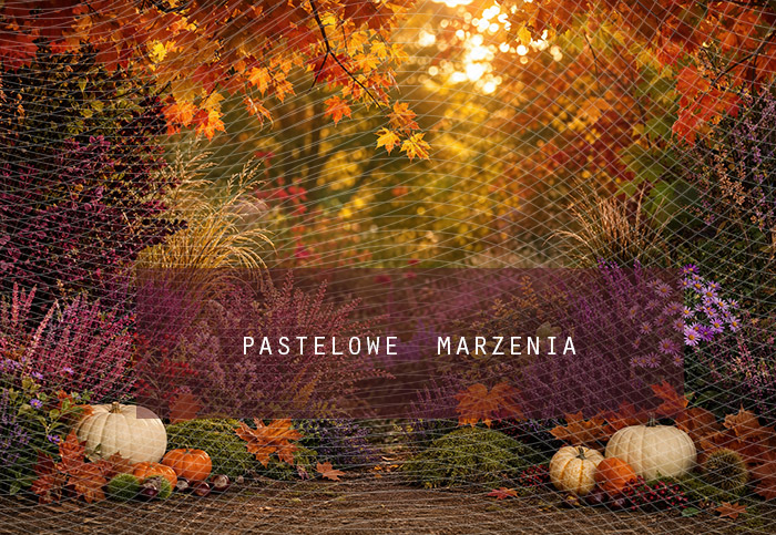 Fabric photographic background from the Autumn category, Frame 290x200 cm