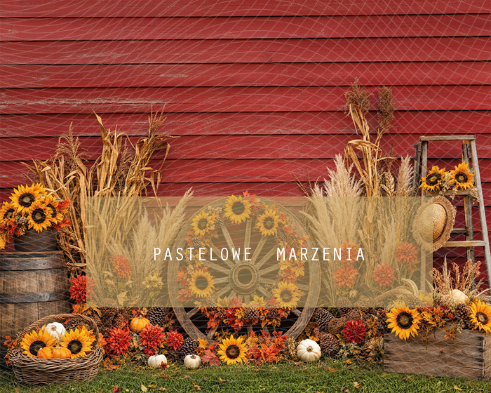 Fabric photographic background from the Autumn category, Frame 250x200 cm